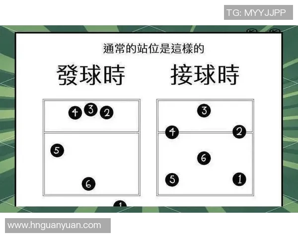 排球盛宴：深入解析西安排球队的比赛策略与经验分享